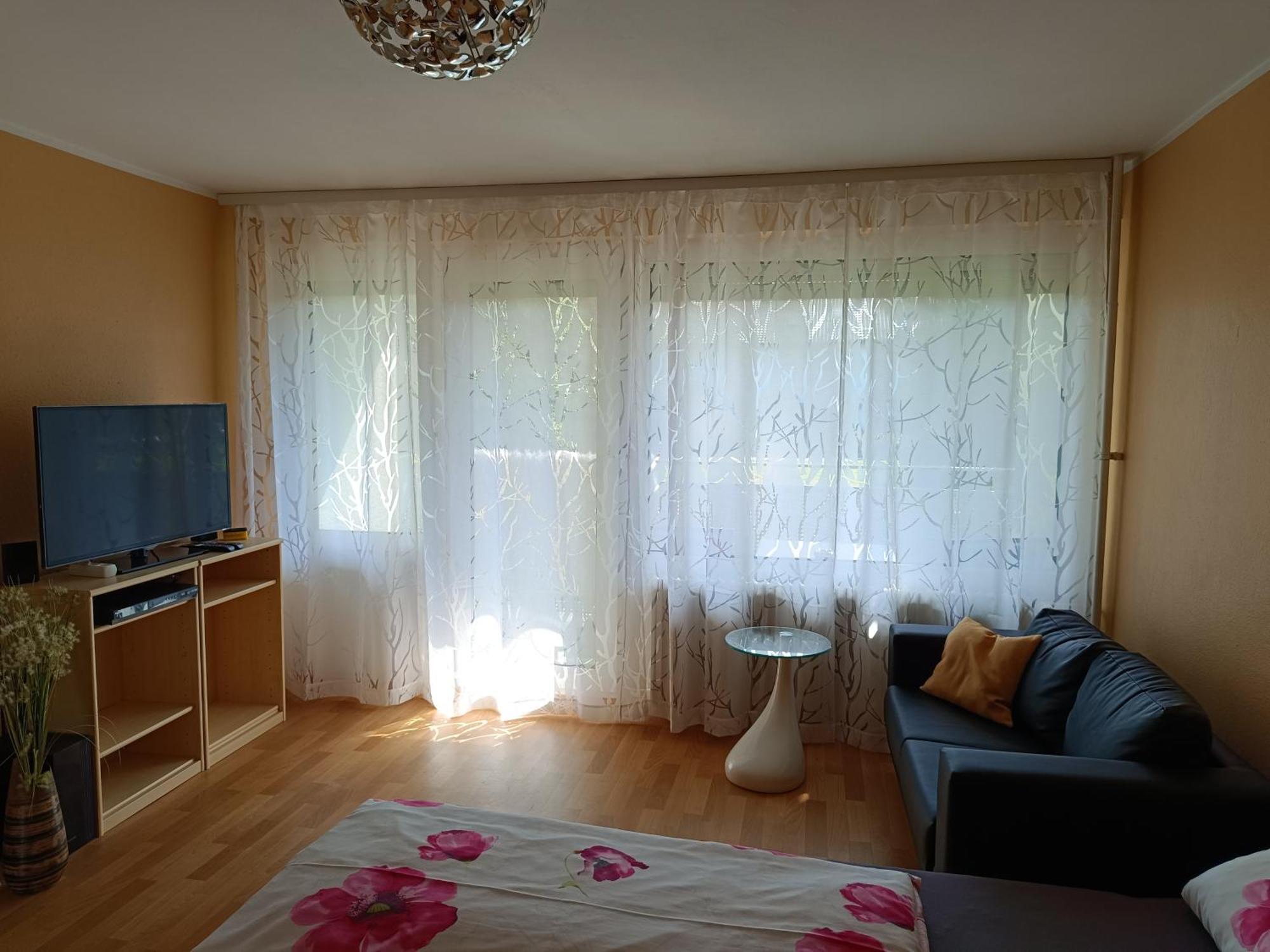 Offenburg Apartment Экстерьер фото