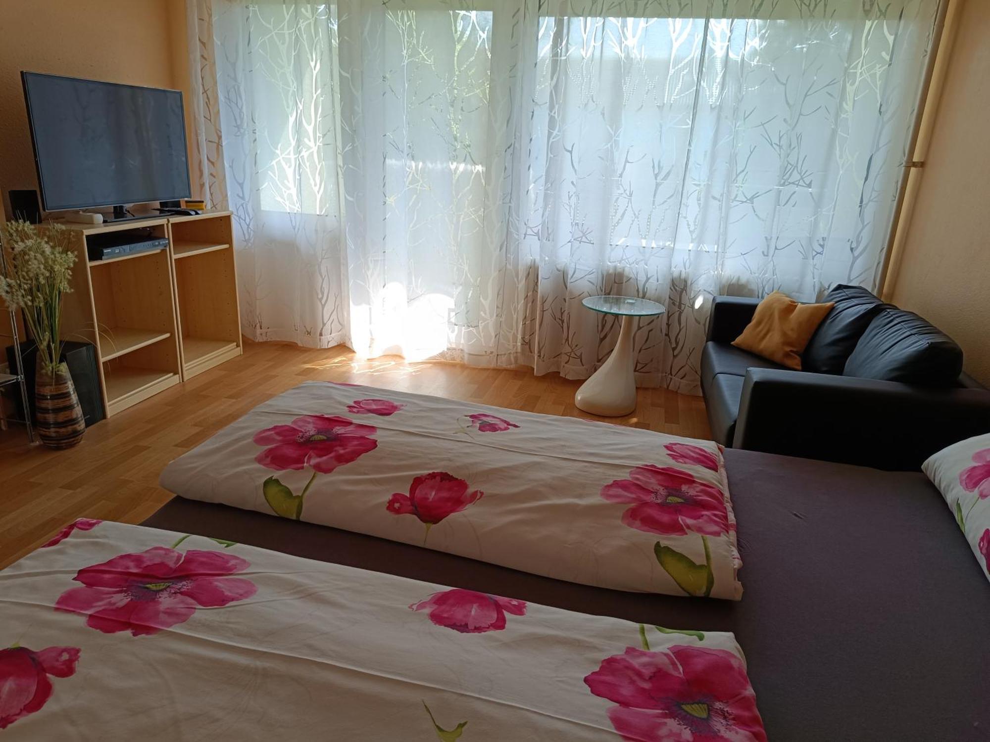 Offenburg Apartment Экстерьер фото